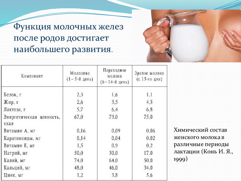 Где находятся молочные. Состав молока женщины. Молоко после родов. Сколько молока в груди у женщины. Функции молочной железы таблица.