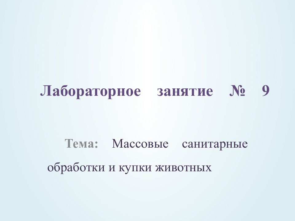 Лабораторное занятие № 9