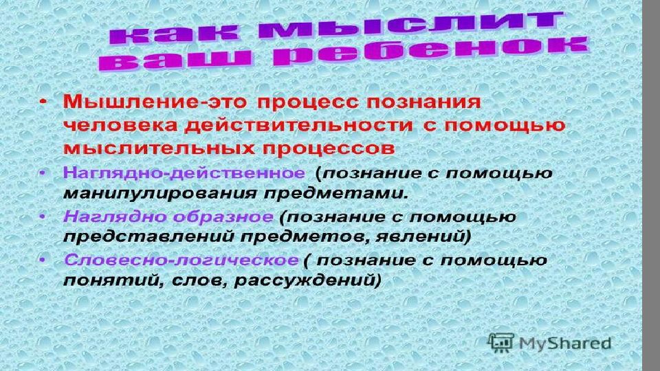 4 функции человека