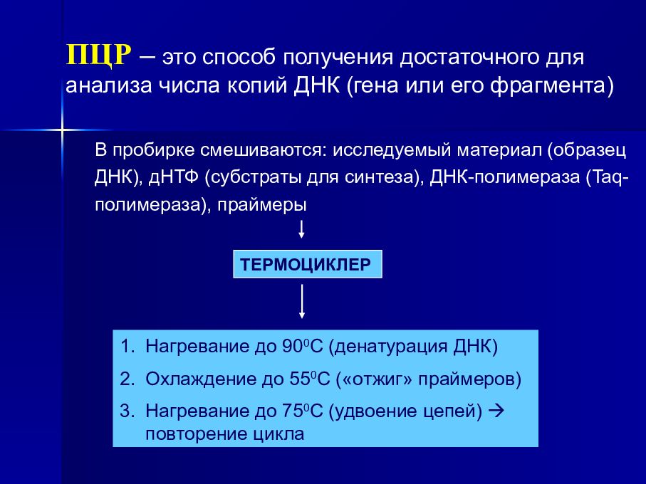 Схема анализа числа. Элонгация ПЦР. Пептидилтрансфераза. Элонгация резервных коронок.