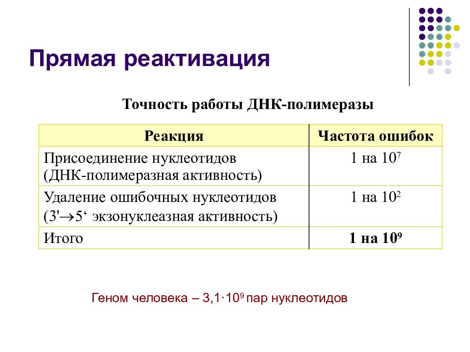 Мутации и мутагены презентация