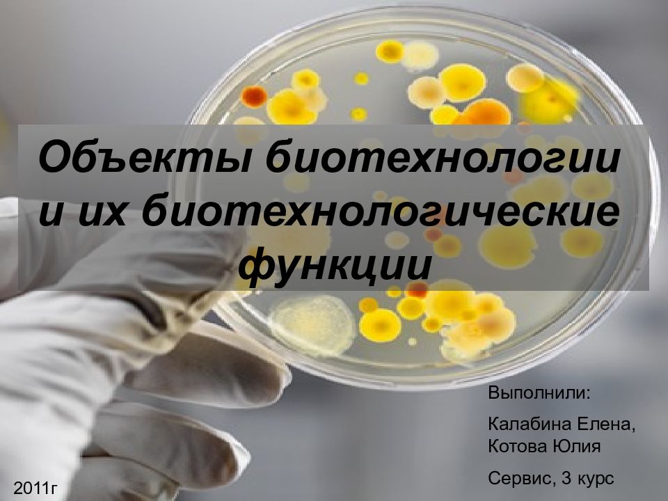 Объекты биотехнологии. Объекты биотехнологии презентация. Подбор биотехнологических объектов. Объекты биотехнологии таблица.