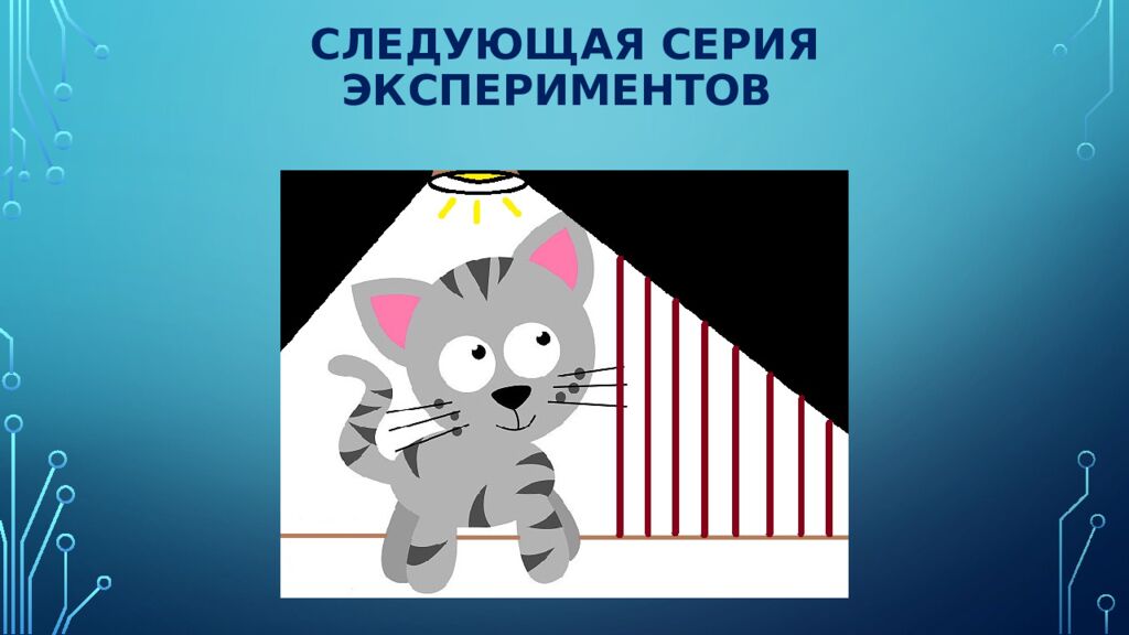 Нейроны зрительной коры: детекторы признаков и их иерархия