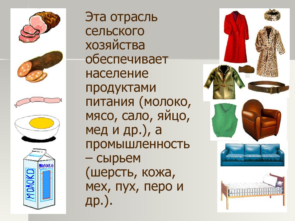 Сельское хозяйство обеспечивает население продуктами питания. Животные обеспечивают сырьем для промышленности. Эта отрасль экономики обеспечивает нас продуктами питания и сырьем. Какие продукты нам дает животноводство. Какие животные обеспечивает вас продуктами питания.