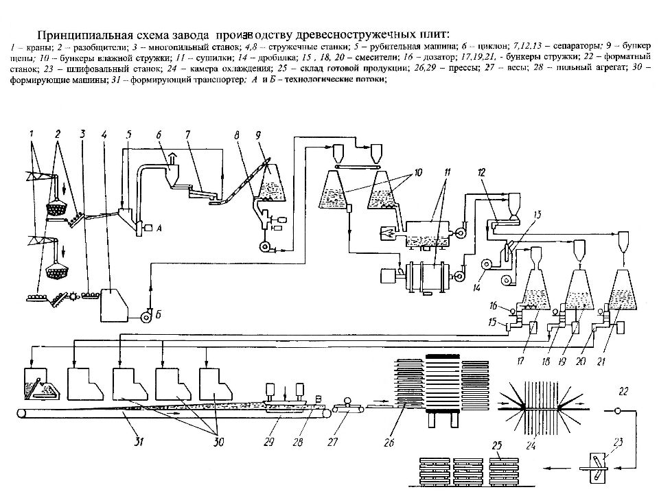 Технологическая схема производства фанеры