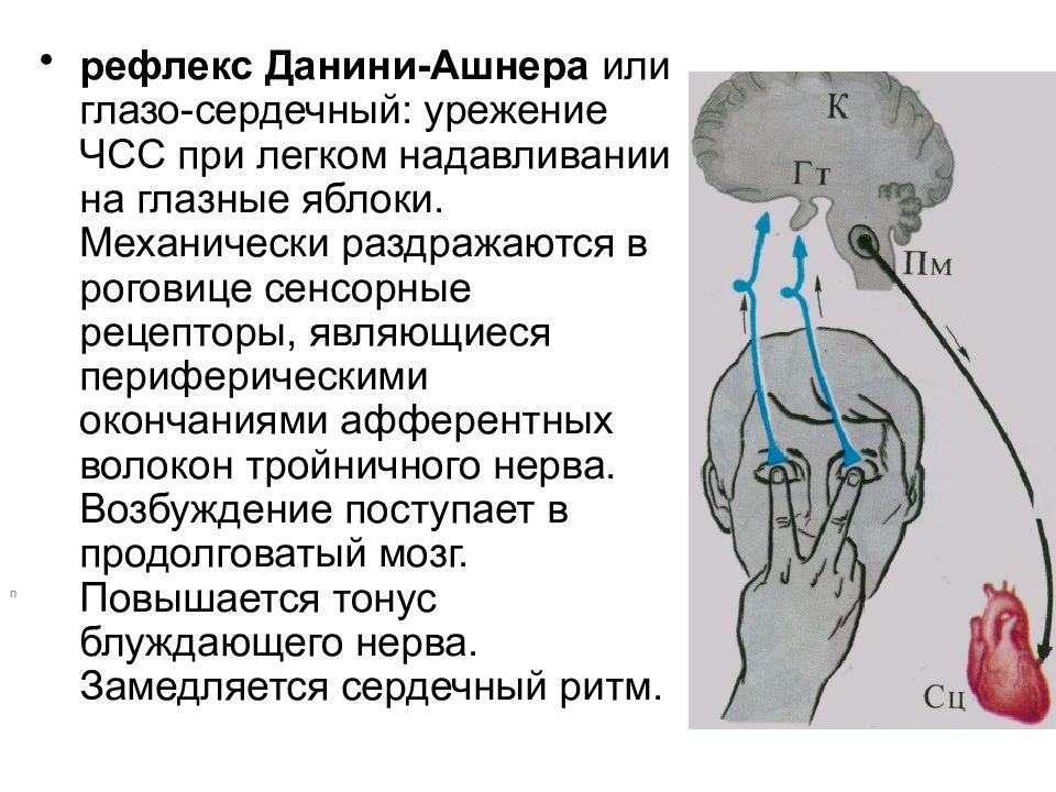 Глазо сердечный рефлекс схема