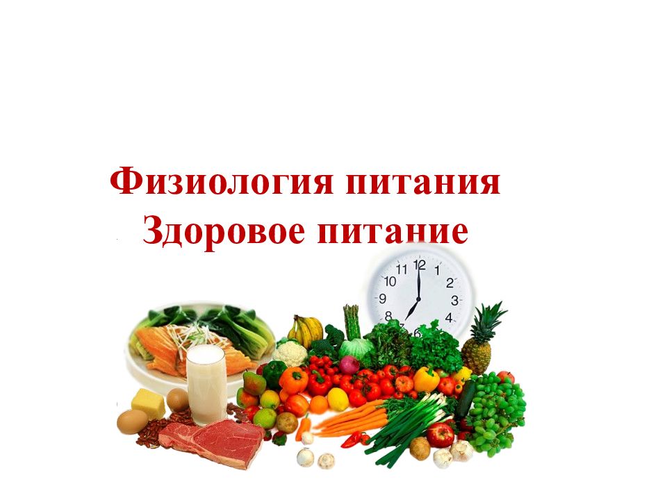 Питание 5 класс. Физиология питания. Физиология здорового питания. Санитария и гигиена на кухне. Кулинария физиология питания.