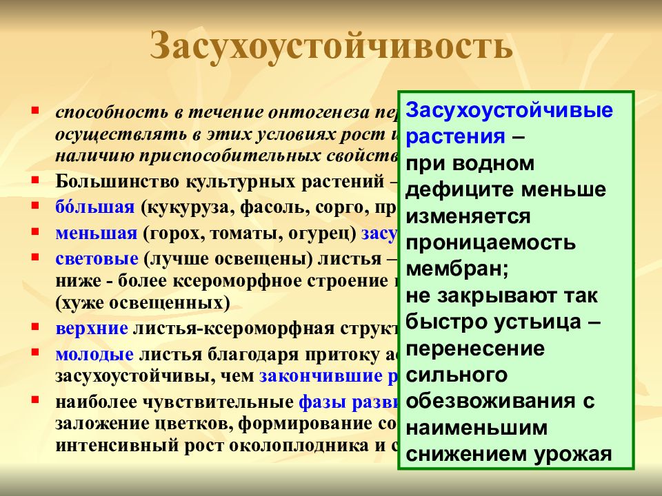 Особенности засухоустойчивых растений. Засухоустойчивость растений. Физиологические основы засухоустойчивости растений. Признаки засухоустойчивых растений.