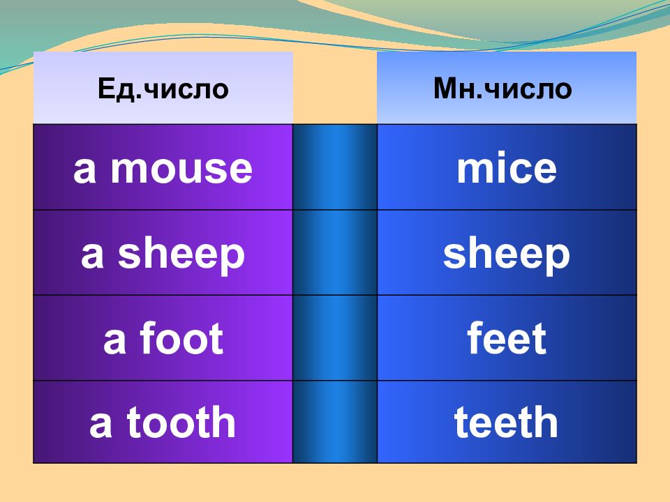 Foot множественное число на английском. Mouse множественное число. Tooth множественное число. Sheep множественное число. Foot множественное.