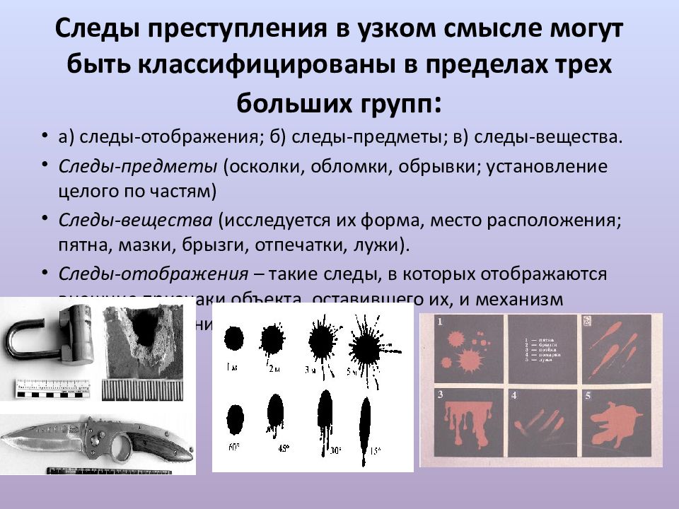 На предложенном рисунке обозначьте возможные следы преступления