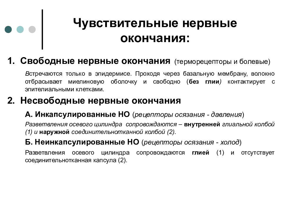 Свободная функция. Классификация чувствительных нервных окончаний. Неинкапсулированные нервные окончания. Свободные и несвободные нервные окончания. Функции нервных окончаний.