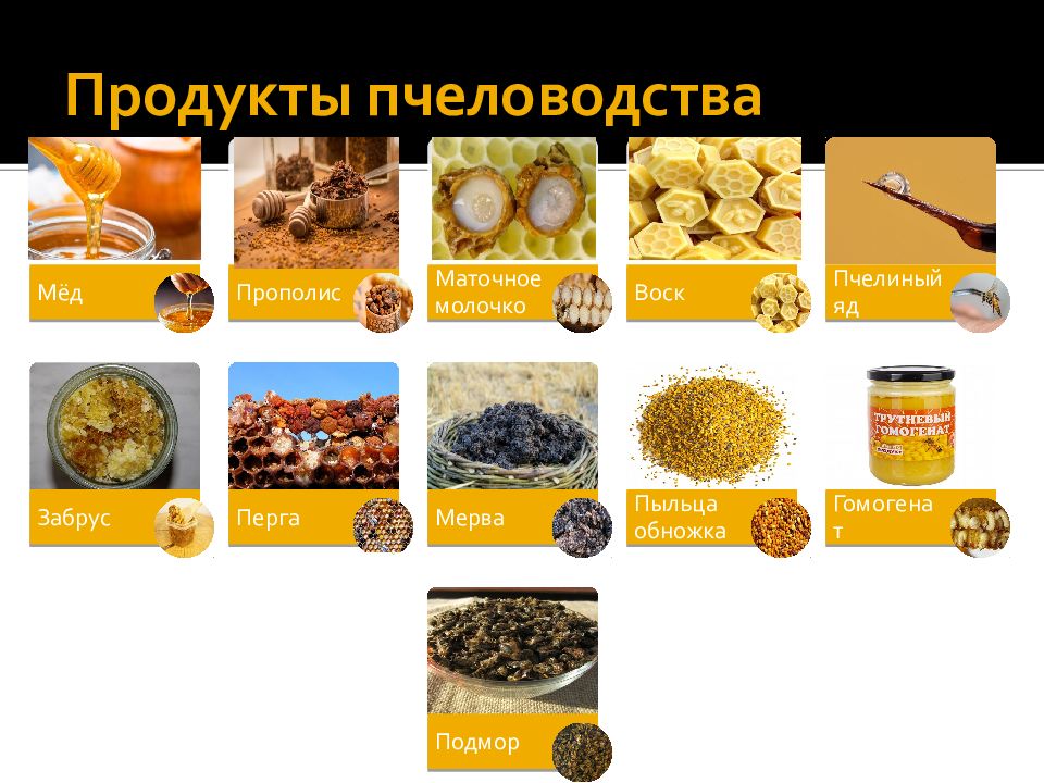 Схема продукты пчеловодства