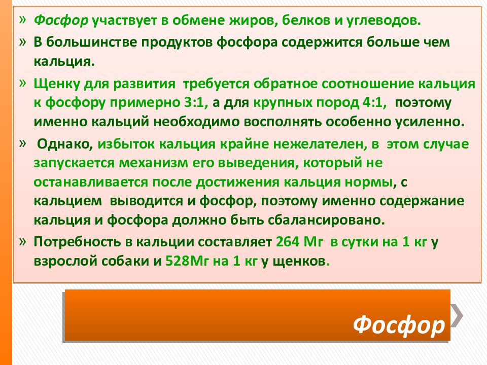 Кальций и фосфор для чего