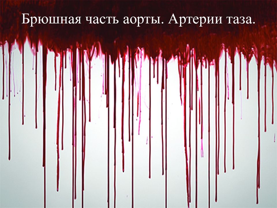 Брюшная часть аорты. Артерии таза.