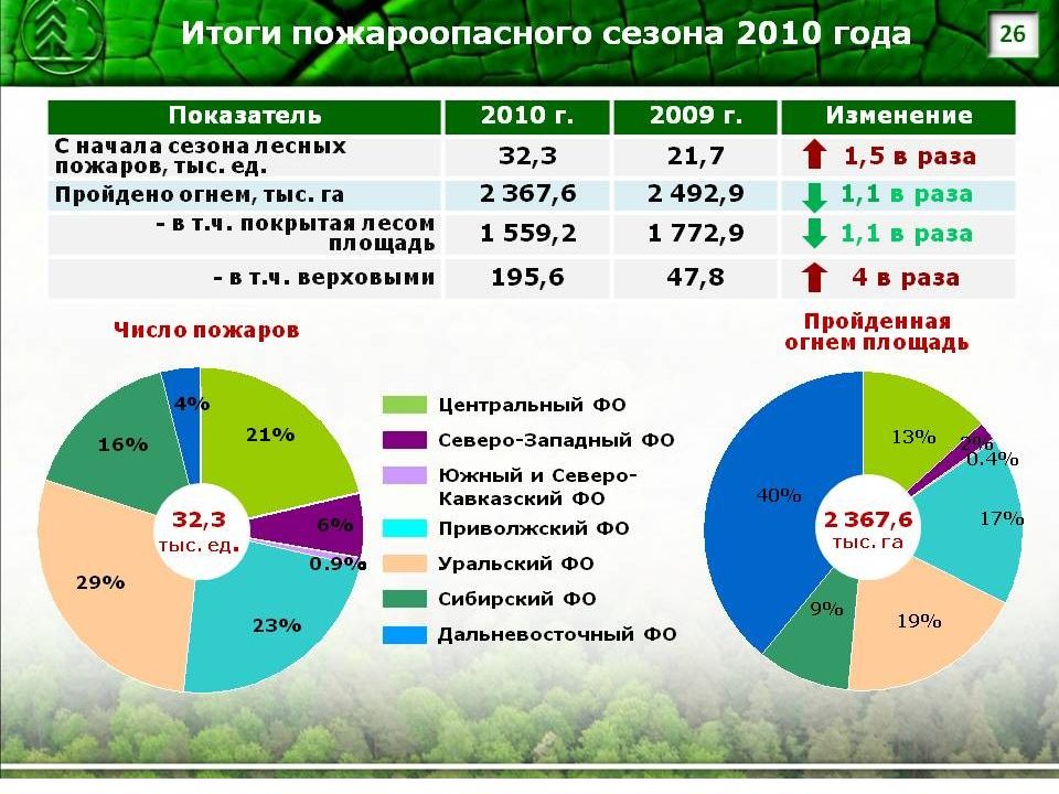 Правовая охрана лесов презентация