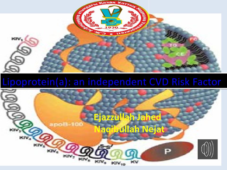 Lipoprotein(a): an independent CVD Risk Factor Ejazzullah Jahed Na q ibullah