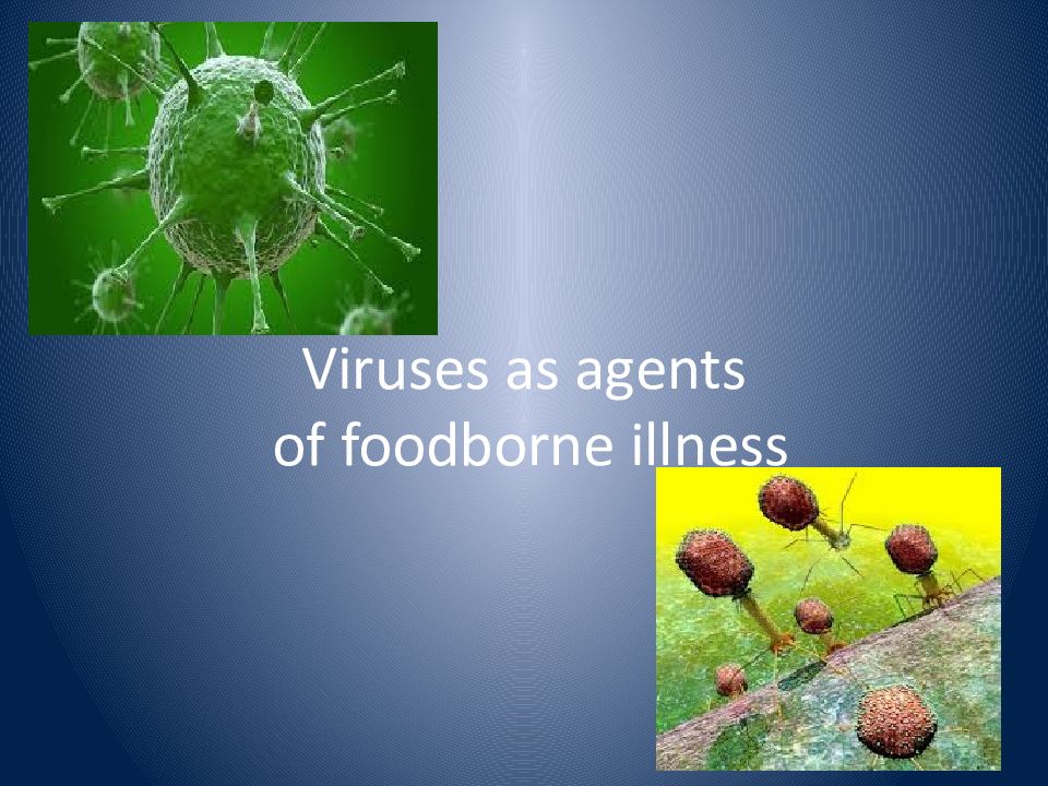Viruses as agents of foodborne illness