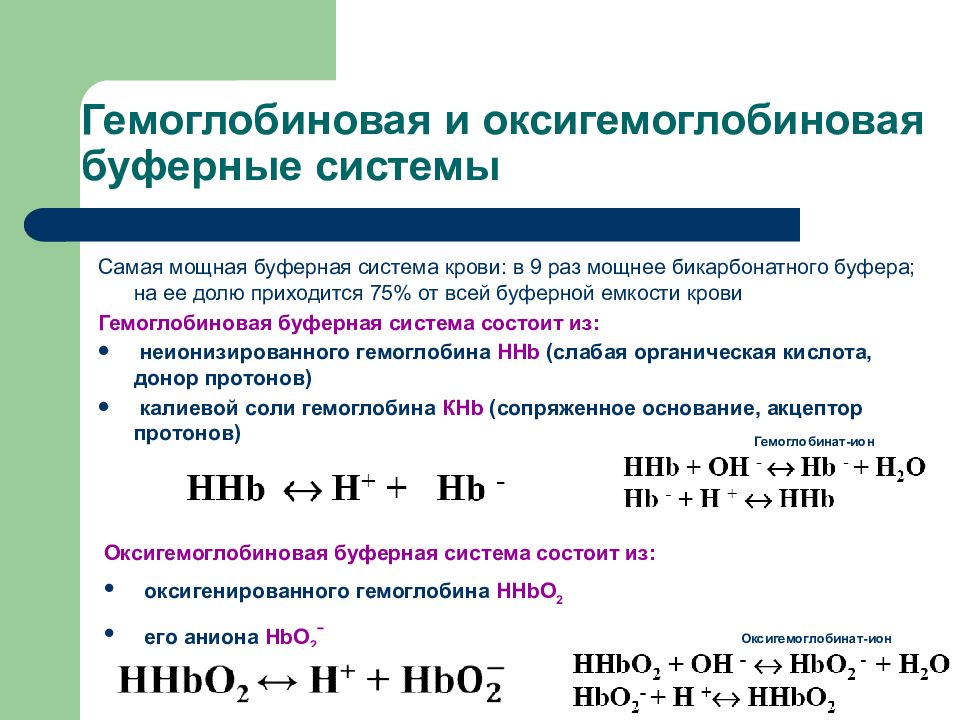 Основания бс. Гемоглобиновый буфер механизм. Гемоглобиновая буферная система крови. Механизм буферного действия гемоглобина. Механизм действия гемоглобиновой буферной.