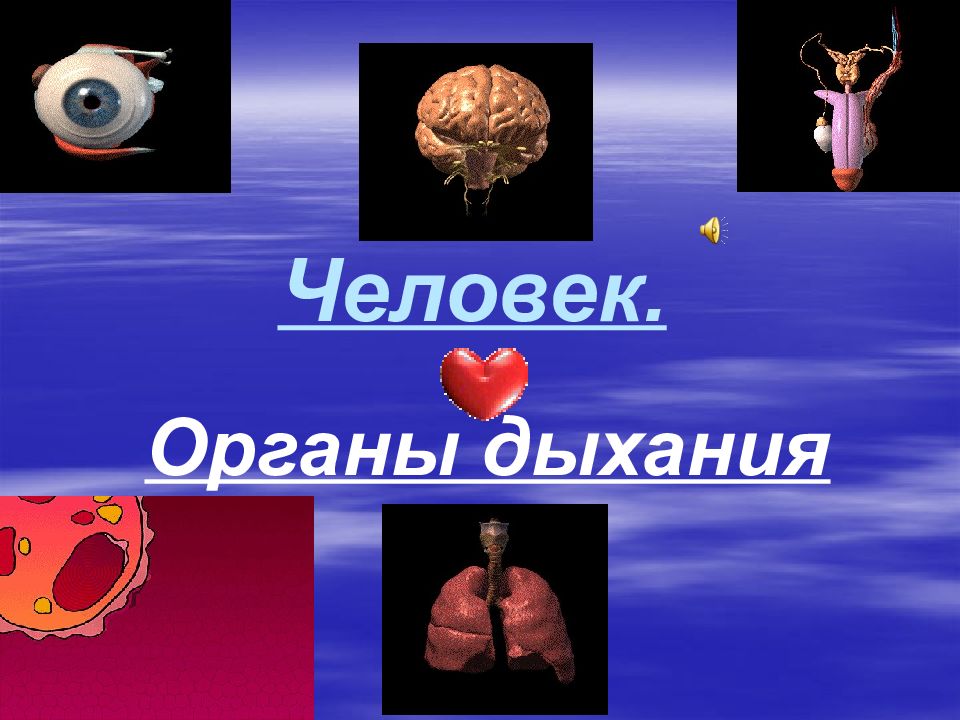 Человек.