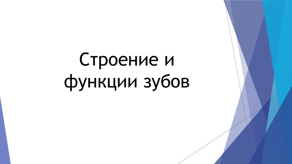 Строение и функции зубов