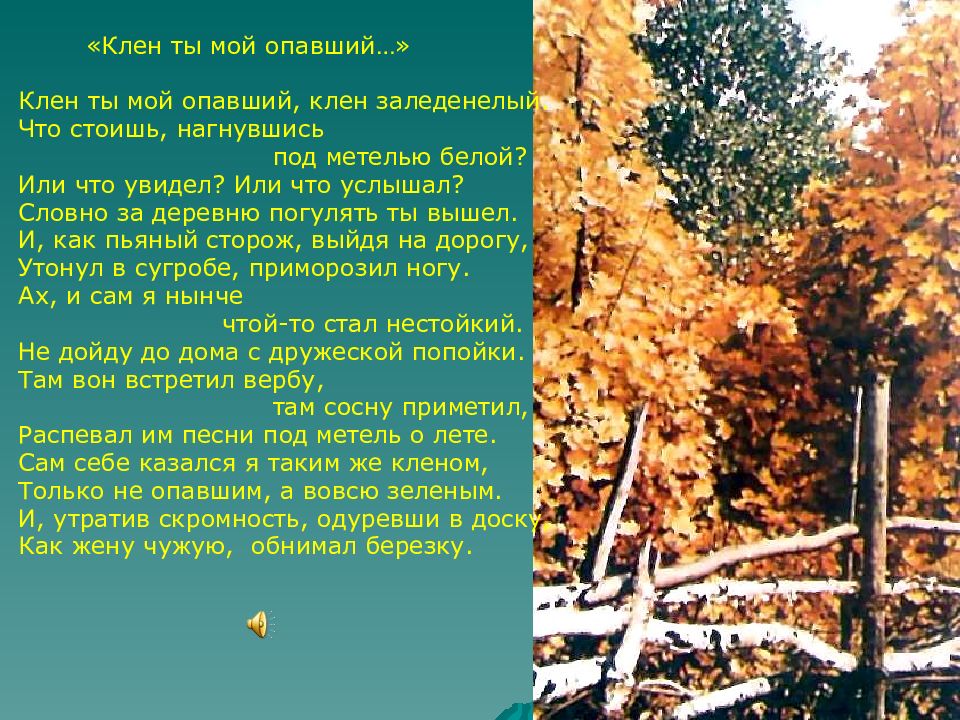 Ты стоил одна у клена. Клен стихотворение Есенина. Сергей Есенин клен. Стихи Есенина клен. Стихотворение Есенина клен ты мой опавший.