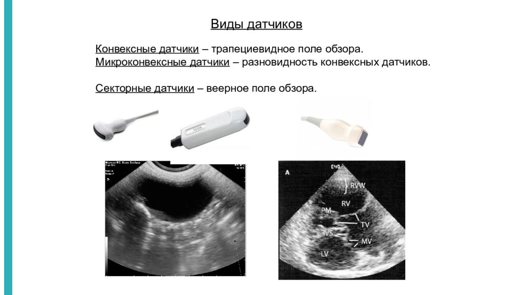 Какое узи сделать. Секторный датчик УЗИ изображение. Тип датчика УЗИ секторный изображение. Конвексный датчик УЗИ изображение. Линейные датчики строение УЗИ.