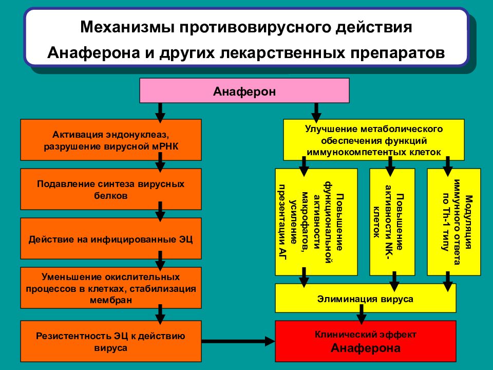 Механизм действия противовирусных препаратов при вич инфекции схема