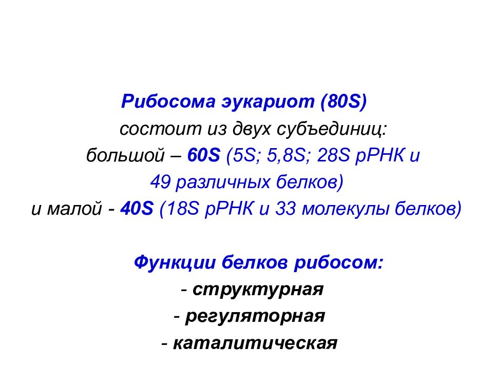 Состоять з. 28s РРНК. 80 S рибосомы эукариот состоят из двух субъединиц. Эукариотическая рибосома 80s состоит из большой и малой субъединиц\. 80s рибосомы.