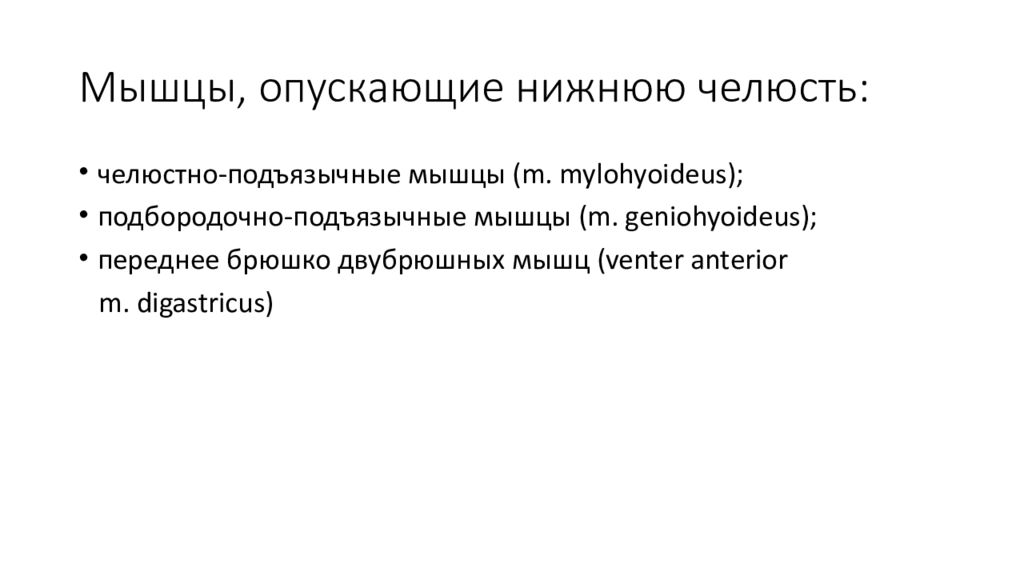 Мышцы поднимающие и опускающие нижнюю. Мышйы опцскающие.велюсьь. Мышцы опускающие нижнюю челюсть. Мышцы опускающие нижнюю челюсть анатомия. Опускание нижней челюсти мышцы.