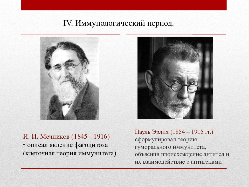 Теория иммунитета мечникова. Мечников и Эрлих. Мечников и Эрлих вместе. Фибрин Мечников Пауль Эрлих. Работы Мечникова и Эрлиха.