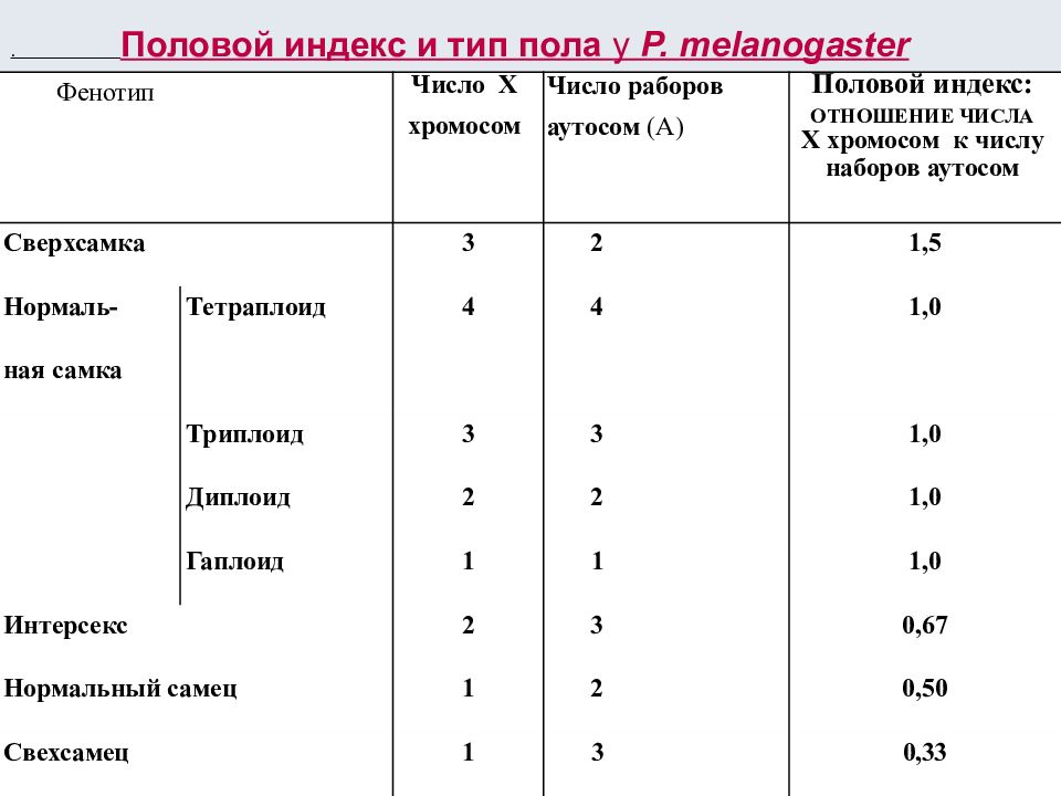 Сколько половых хромосом