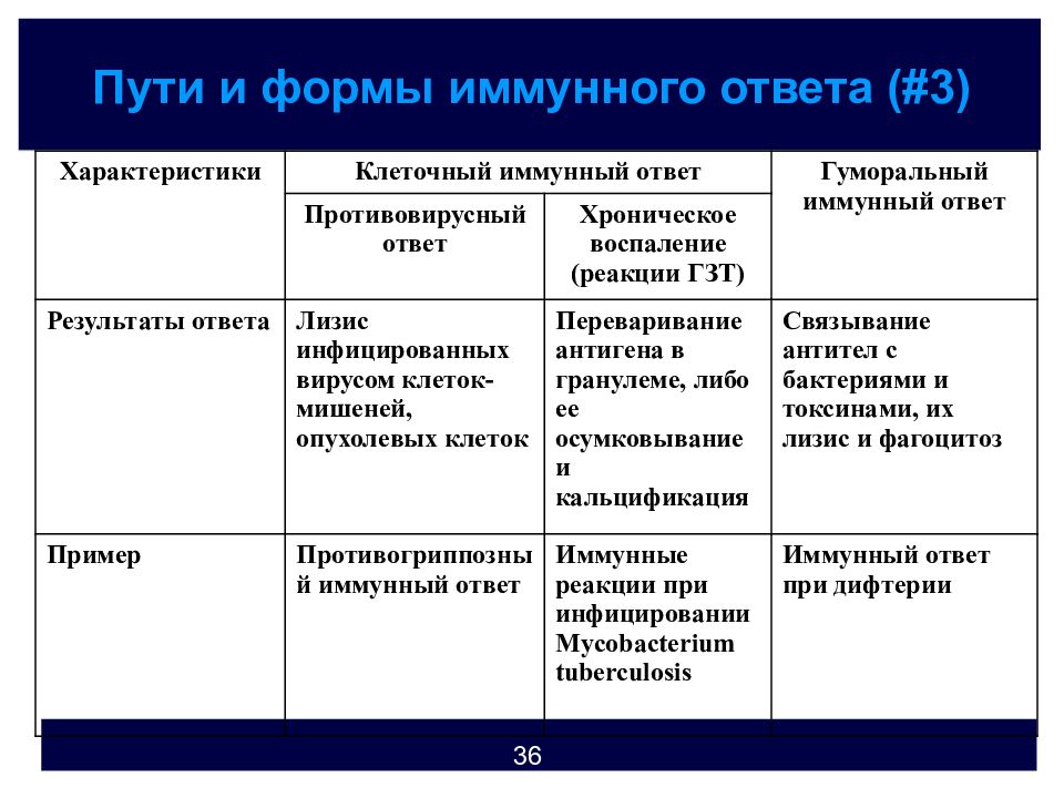 Генетический контроль иммунного ответа презентация