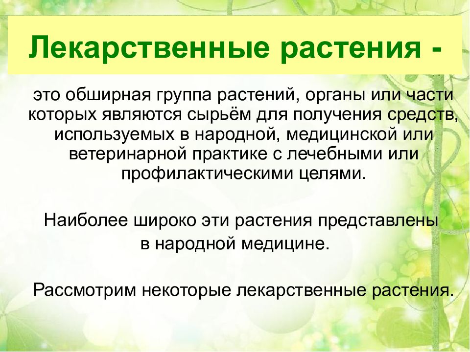 Лекарственные растения презентация 5 класс