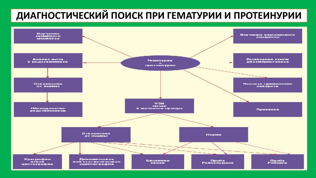 Найти диагностическую. Диагностический поиск при гематурии. Гематурия алгоритм диагностического поиска. Диагностический поиск при гематурии и протеинурии. Алгоритм обследования при гематурии.