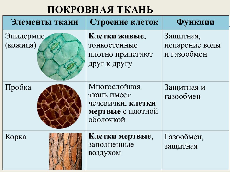 Объем в рисунке характеристика значение особенности