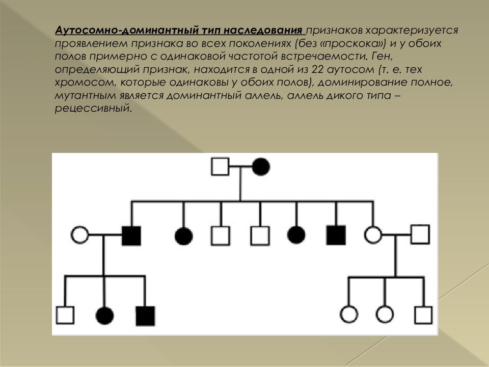 Аутосомно доминантное наследование. Аутосомно-доминантный Тип наследования схема. Аутосомно доминантный Тип наследования генеалогическое дерево. Аутосомно-доминантный Тип наследования характеризуется. Генеалогический метод аутосомно доминантный.