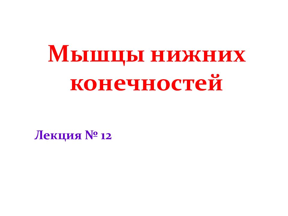 Мышцы нижних конечностей