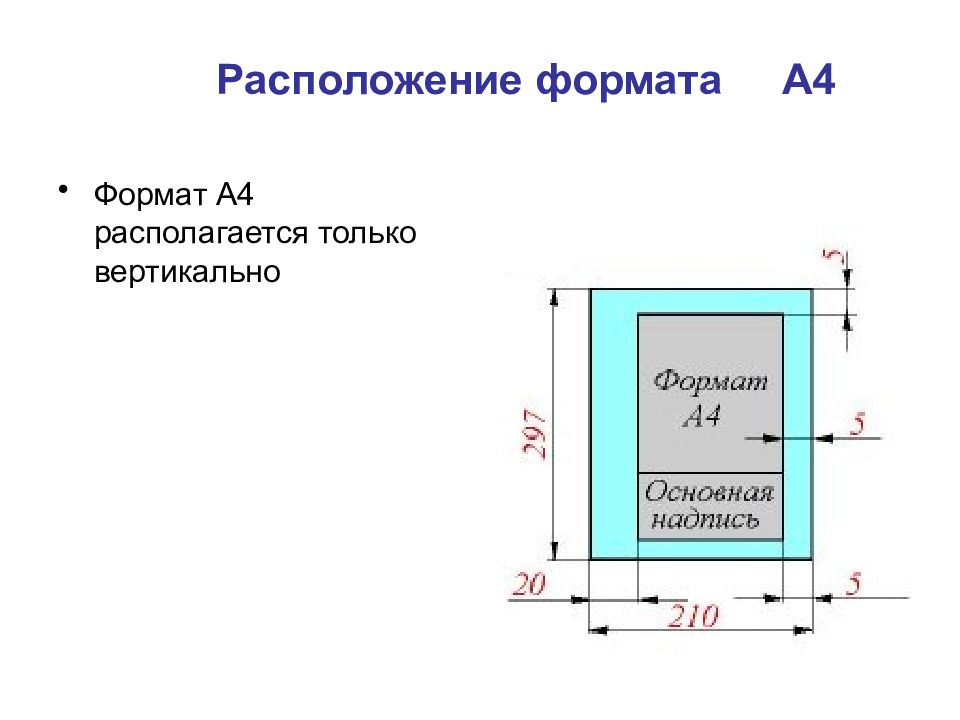 Размер Вертикального Фото