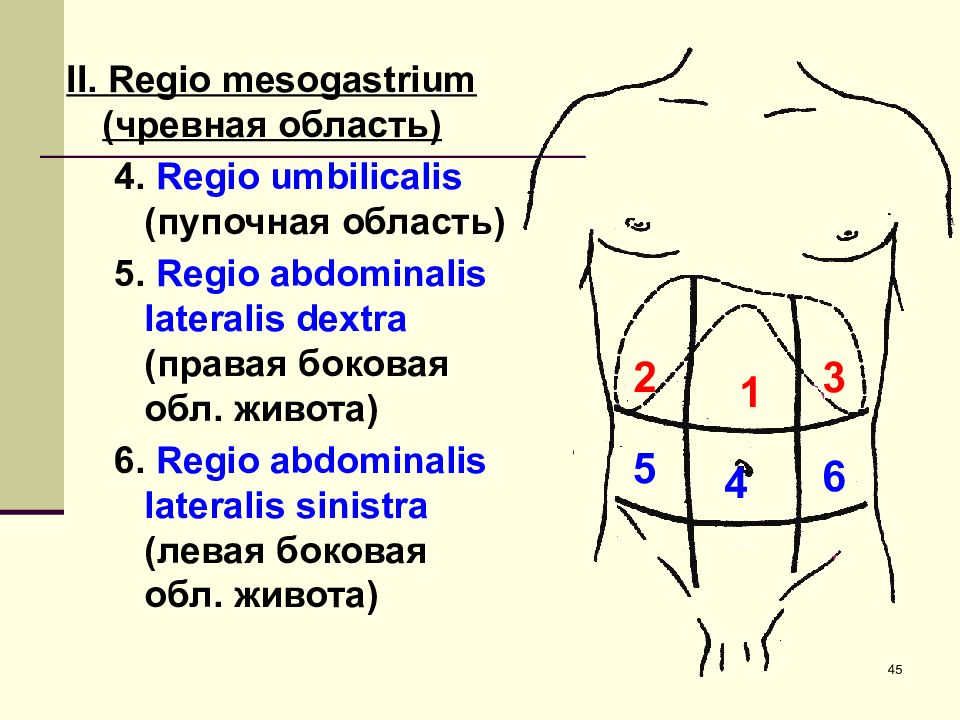 Regio Scorts