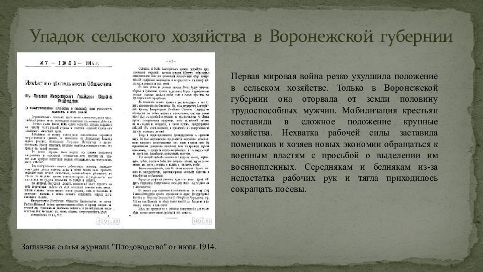 История воронежской губернии. Воронежская Губерния первая мировая. Упадок сельского хозяйства.