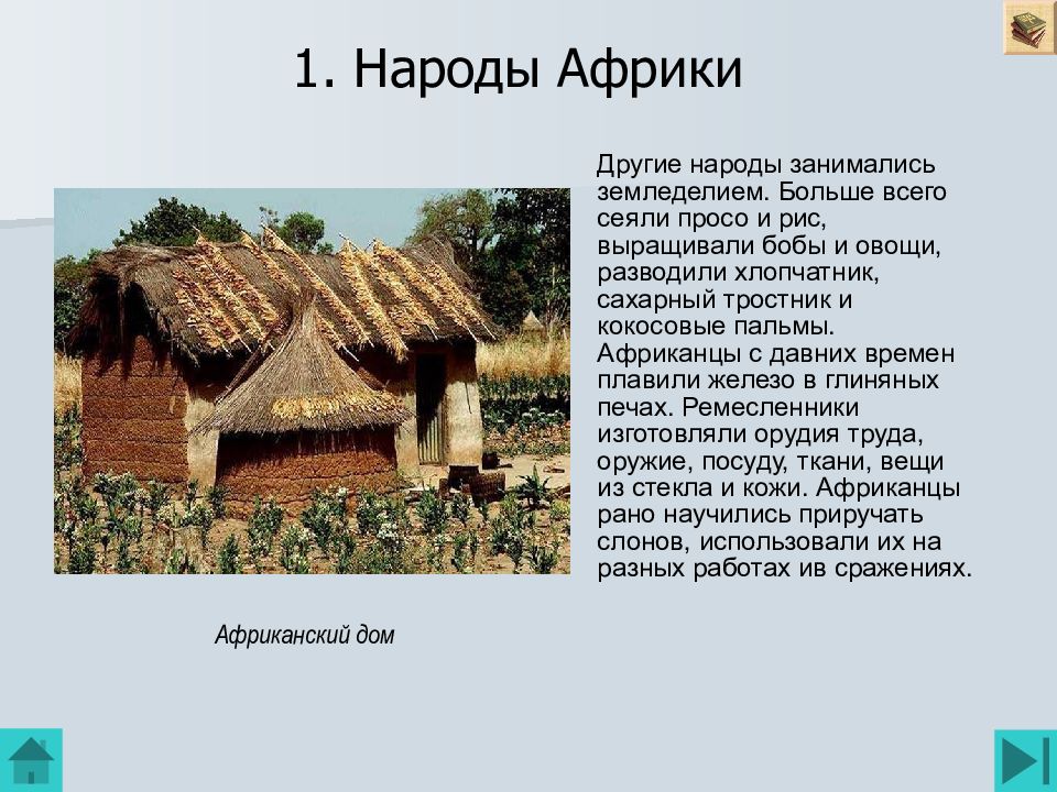 1. Народы Африки