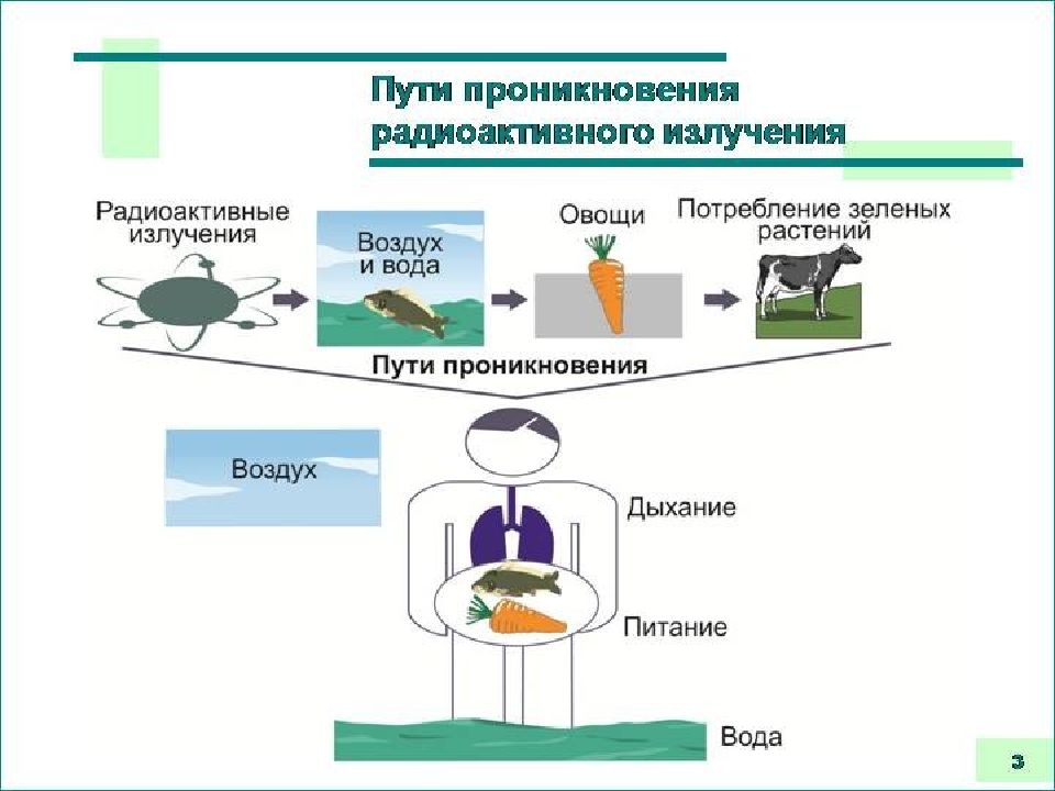 Поступление радиации. Пути проникновения радиоактивного излучения. Пути проникновения радиации в организм человека. Пути поступления радиоактивных веществ в организм. Пути проникновения радиоактивных веществ в организм.