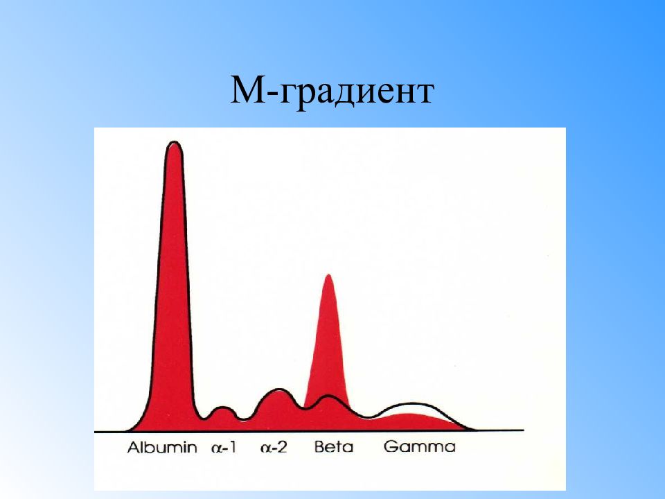 Gradient m. Электрофореграмма белков сыворотки крови. М-градиент в крови. М-градиент в крови норма. М-градиент в крови при миеломной болезни.