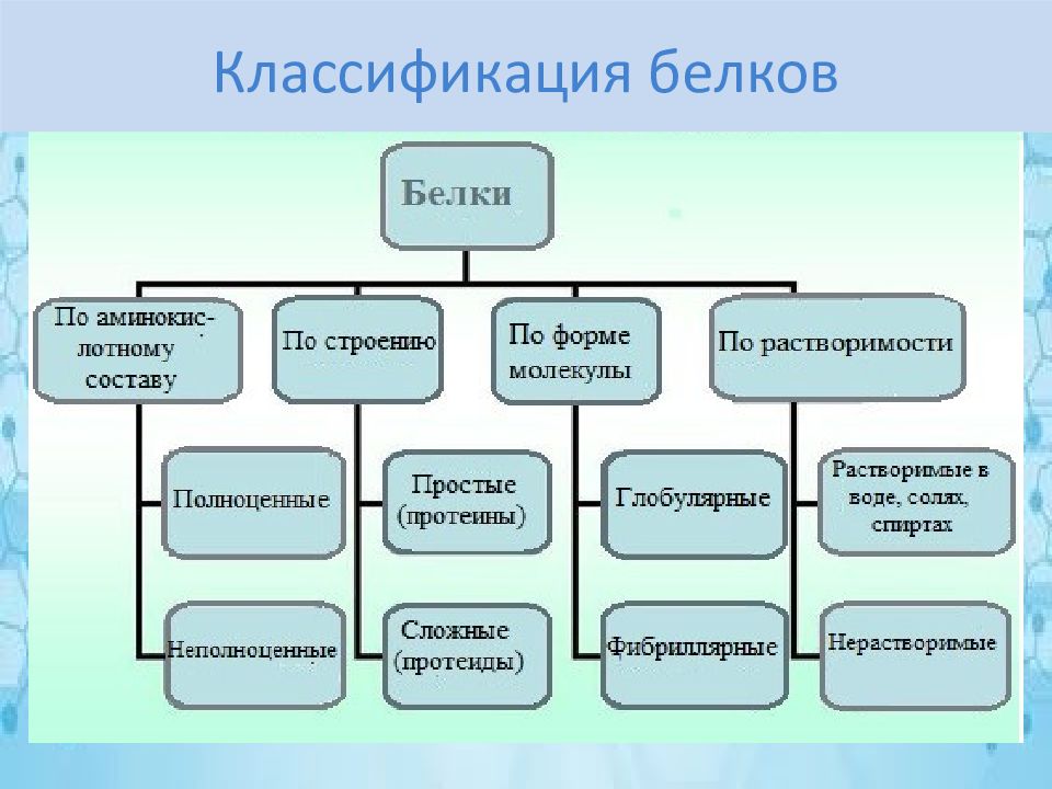 Группы белков. Классификация белков биохимия. Классификация белков по функциям биохимия. Классификация белков по их структуре. Классификация белков по строению.