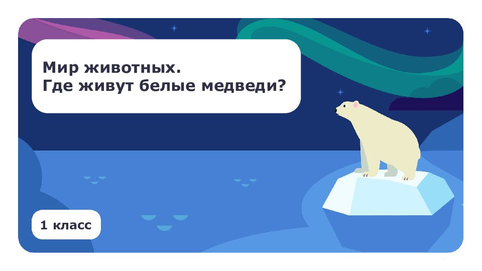 Мир животных. Где живут белые медведи? 1 класс