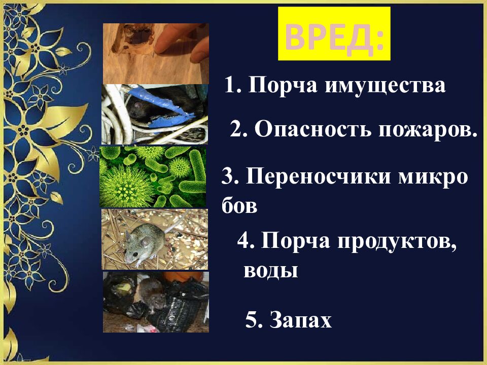 Домашние вредители