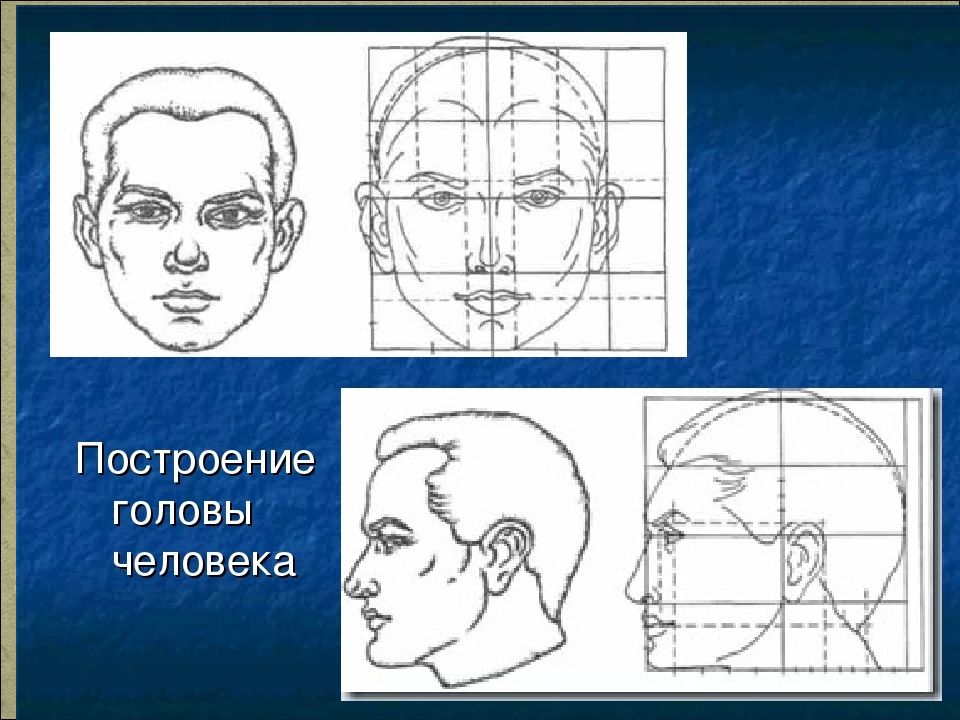 Свет и тень в изображении головы человека