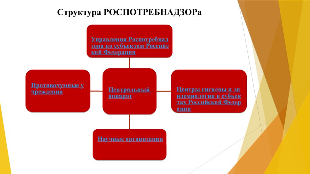 Надзор потребитель. Структура Роспотребнадзора РФ схема. Структурная организация учреждений системы Роспотребнадзора. Структура Роспотребнадзора Федеральной службы субъекта РФ. Роспотребнадзор организационная структура.