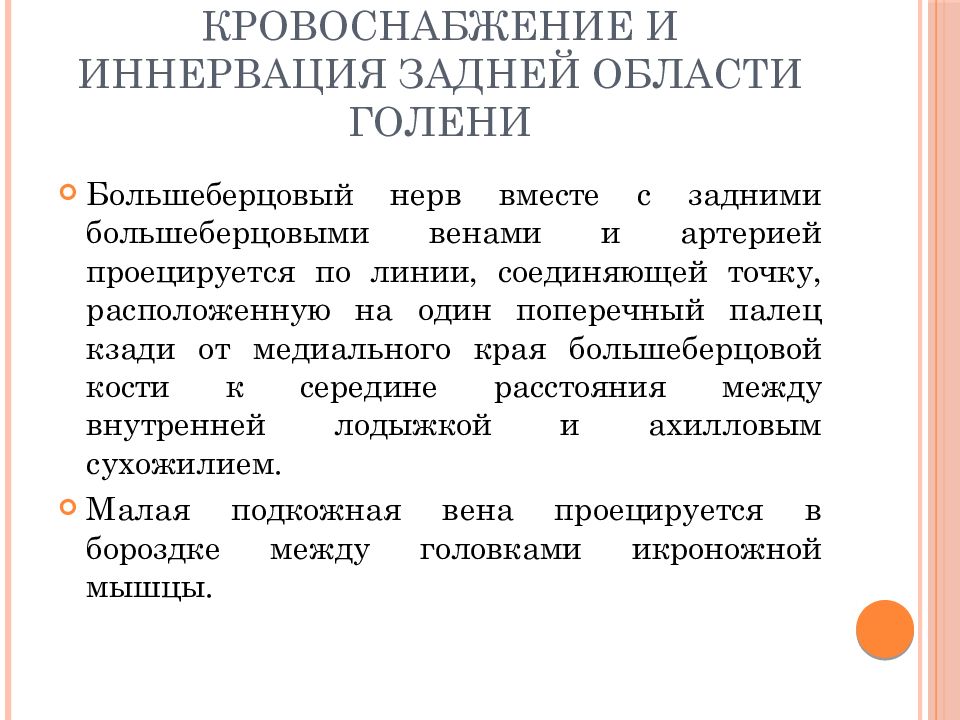 Топографическая анатомия нижней конечности презентация