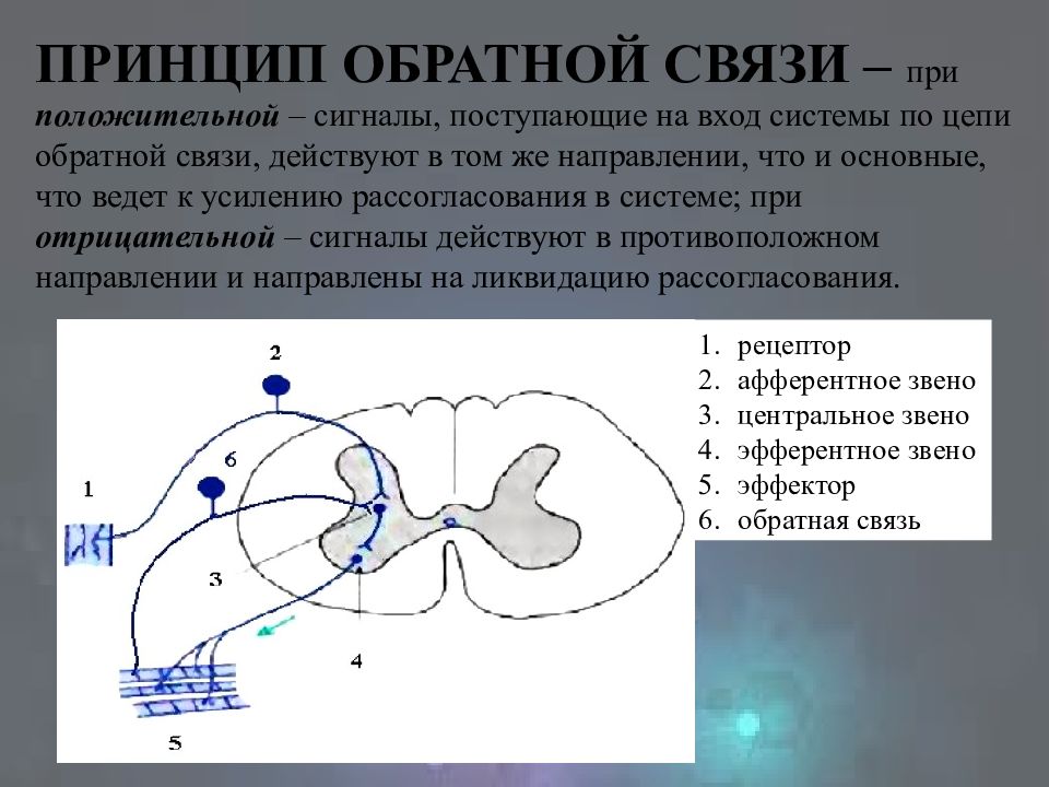 Сигнальная форма регуляции деятельности